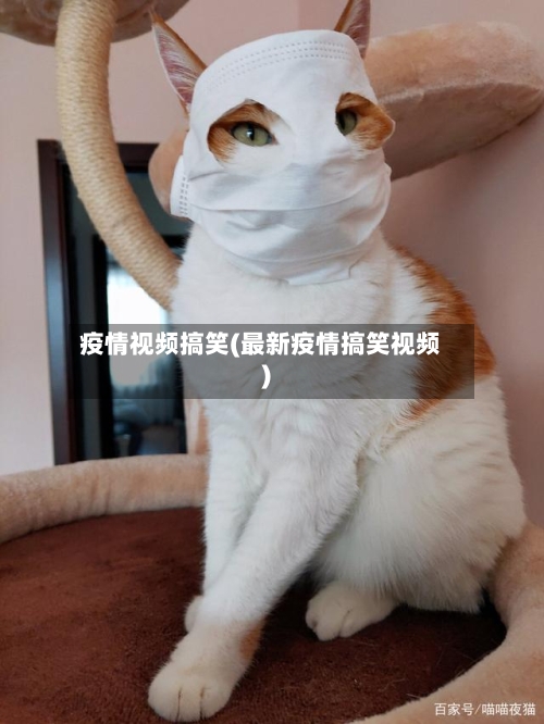 疫情视频搞笑(最新疫情搞笑视频)