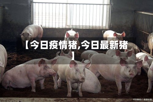 【今日疫情猪,今日最新猪】
